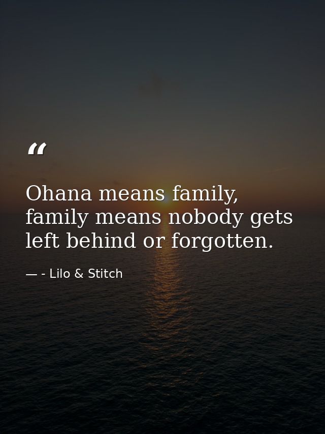 Ohana means family, family means nobody gets left behind or forgotten. — - Lilo & Stitch