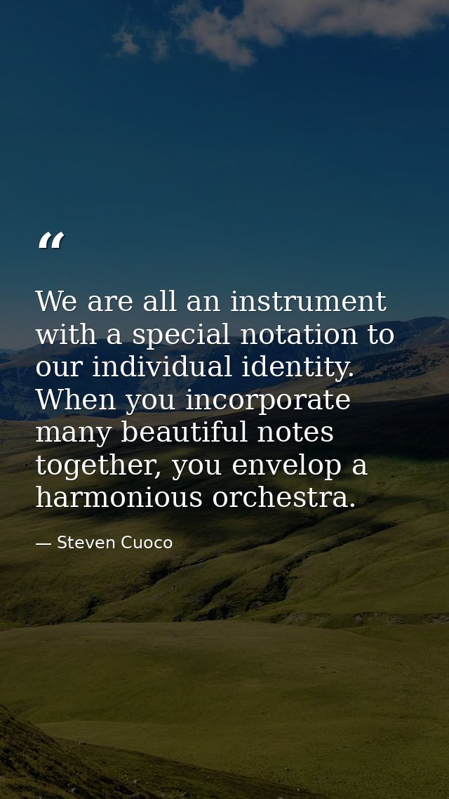 We are all an instrument with a special notation to our individual identity. When you incorporate many beautiful notes t — Steven Cuoco