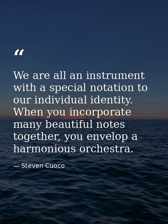 We are all an instrument with a special notation to our individual identity. When you incorporate many beautiful notes t — Steven Cuoco