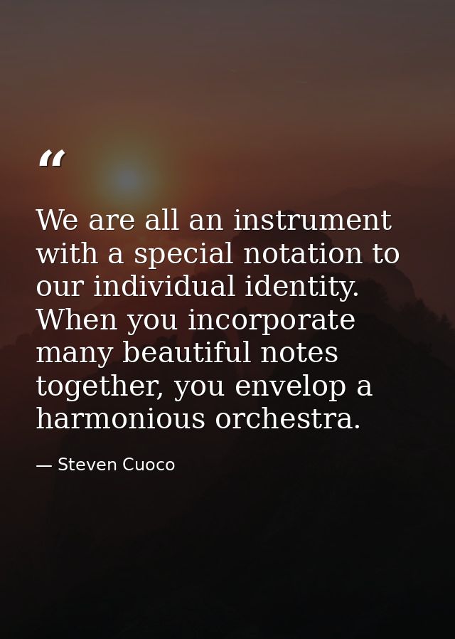 We are all an instrument with a special notation to our individual identity. When you incorporate many beautiful notes t — Steven Cuoco