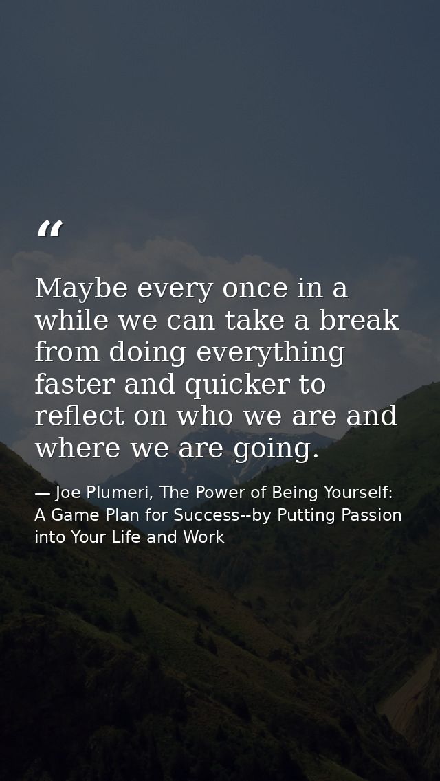 Maybe every once in a while we can take a break from doing everything faster and quicker to reflect on who we are and wh — Joe Plumeri, The Power of Being Yourself: A Game Plan for Success--by Putting Passion into Your Life and Work