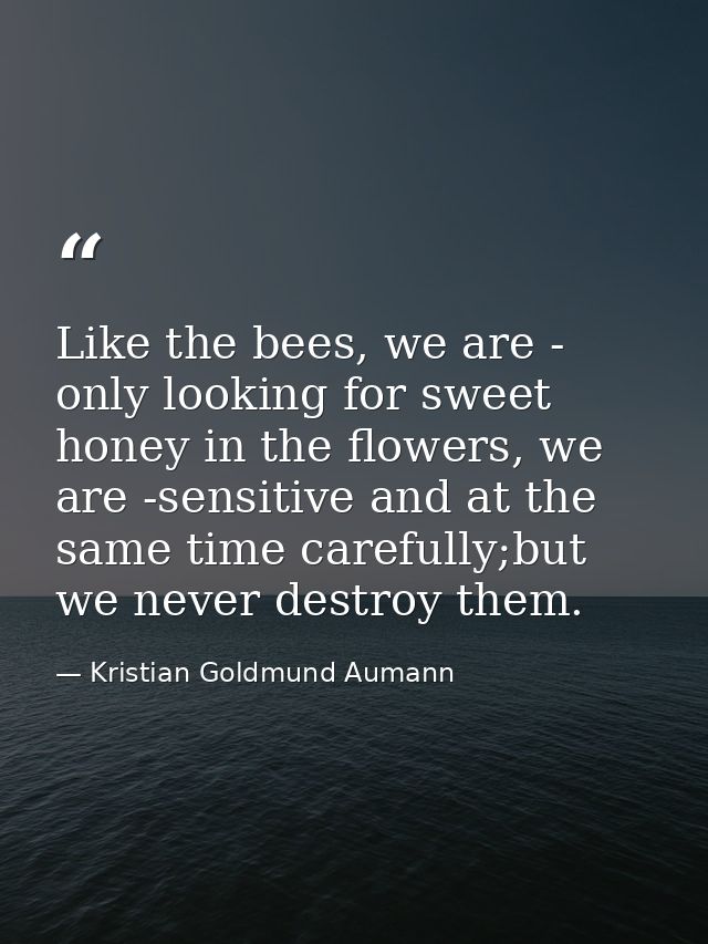 Like the bees, we are - only looking for sweet honey in the flowers, we are -sensitive and at the same time carefully;bu — Kristian Goldmund Aumann