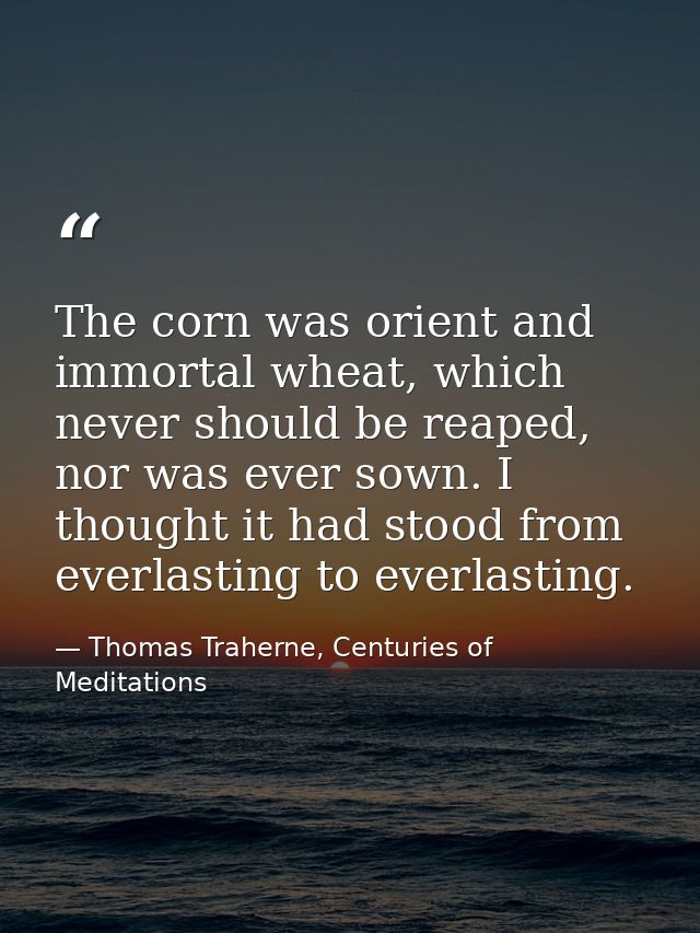 The corn was orient and immortal wheat, which never should be reaped, nor was ever sown. I thought it had stood from eve — Thomas Traherne, Centuries of Meditations