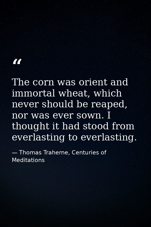 The corn was orient and immortal wheat, which never should be reaped, nor was ever sown. I thought it had stood from eve — Thomas Traherne, Centuries of Meditations