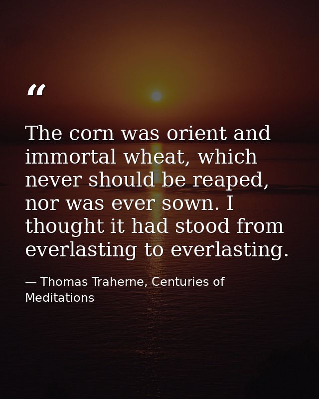 The corn was orient and immortal wheat, which never should be reaped, nor was ever sown. I thought it had stood from eve — Thomas Traherne, Centuries of Meditations