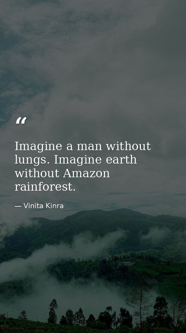 Imagine a man without lungs. Imagine earth without Amazon rainforest. — Vinita Kinra