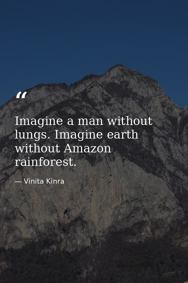Imagine a man without lungs. Imagine earth without Amazon rainforest. — Vinita Kinra