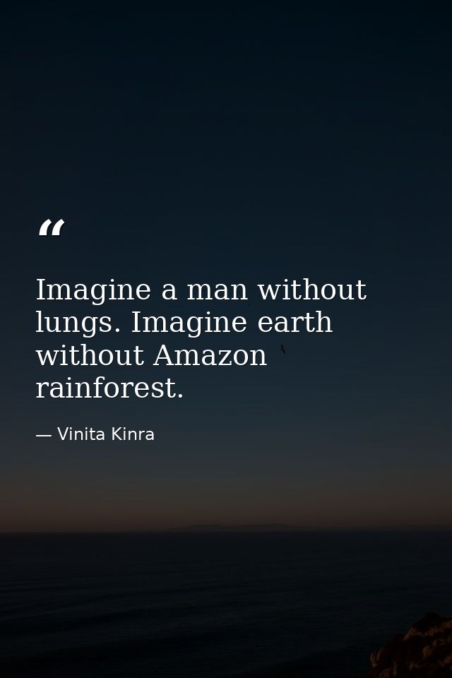 Imagine a man without lungs. Imagine earth without Amazon rainforest. — Vinita Kinra