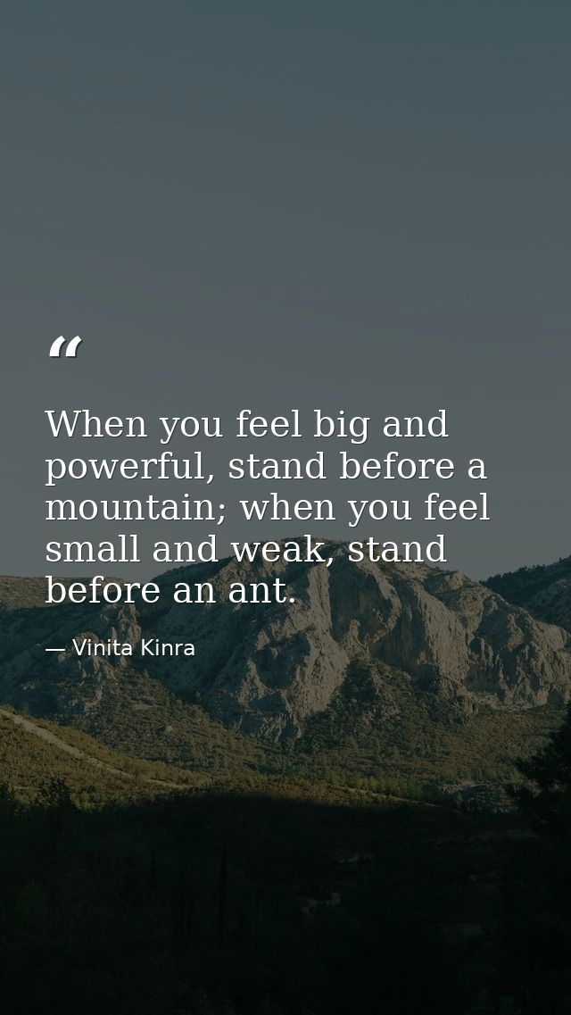 When you feel big and powerful, stand before a mountain; when you feel small and weak, stand before an ant. — Vinita Kinra