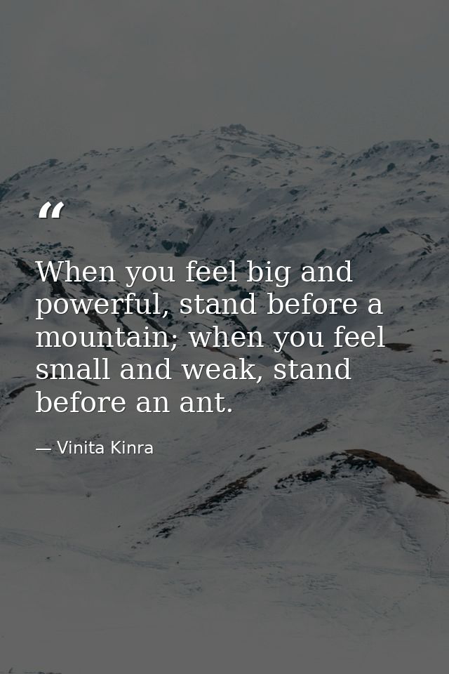When you feel big and powerful, stand before a mountain; when you feel small and weak, stand before an ant. — Vinita Kinra