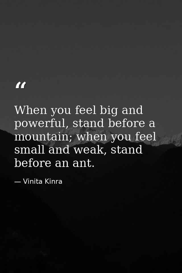 When you feel big and powerful, stand before a mountain; when you feel small and weak, stand before an ant. — Vinita Kinra