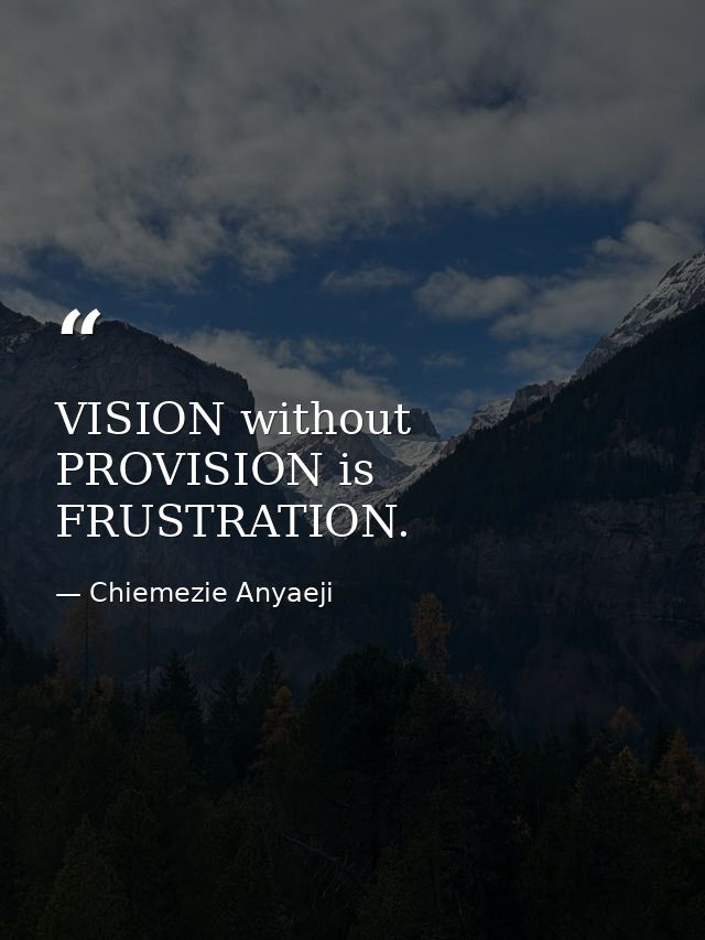 VISION without PROVISION is FRUSTRATION. — Chiemezie Anyaeji