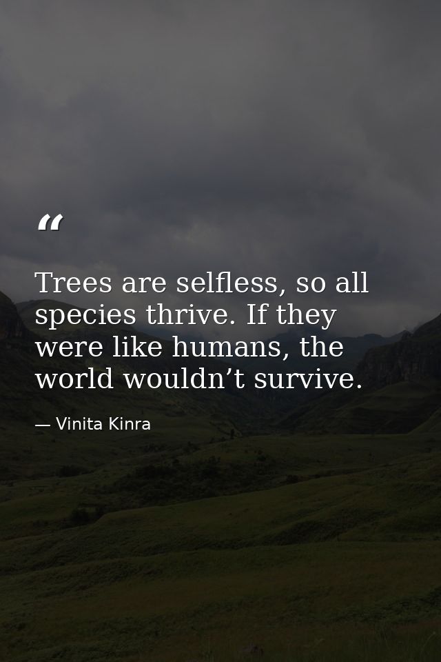 Trees are selfless, so all species thrive. If they were like humans, the world wouldn’t survive. — Vinita Kinra