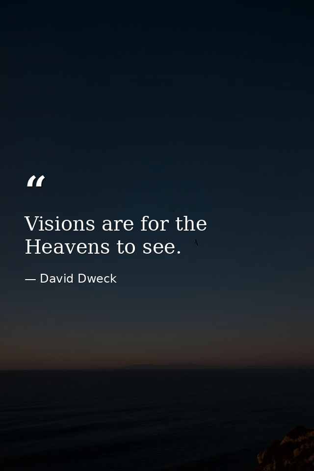 Visions are for the Heavens to see. — David Dweck