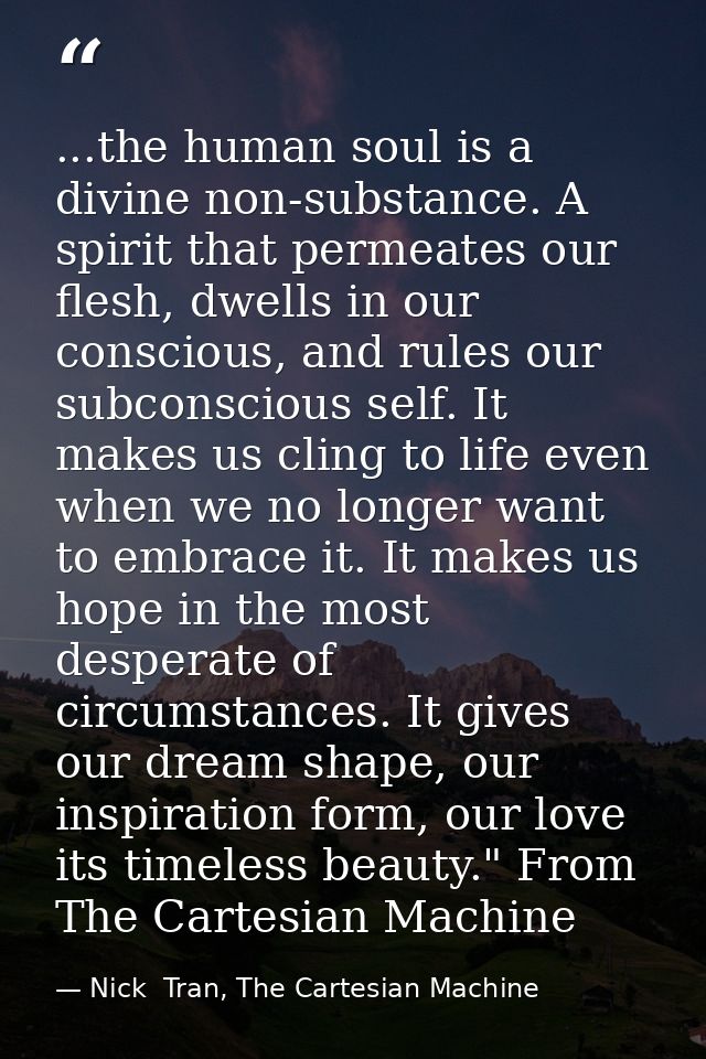 ...the human soul is a divine non-substance. A spirit that permeates our flesh, dwells in our conscious, and rules our s — Nick  Tran, The Cartesian Machine