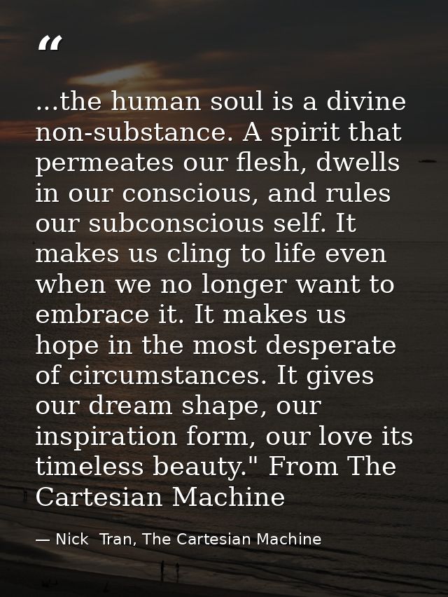 ...the human soul is a divine non-substance. A spirit that permeates our flesh, dwells in our conscious, and rules our s — Nick  Tran, The Cartesian Machine
