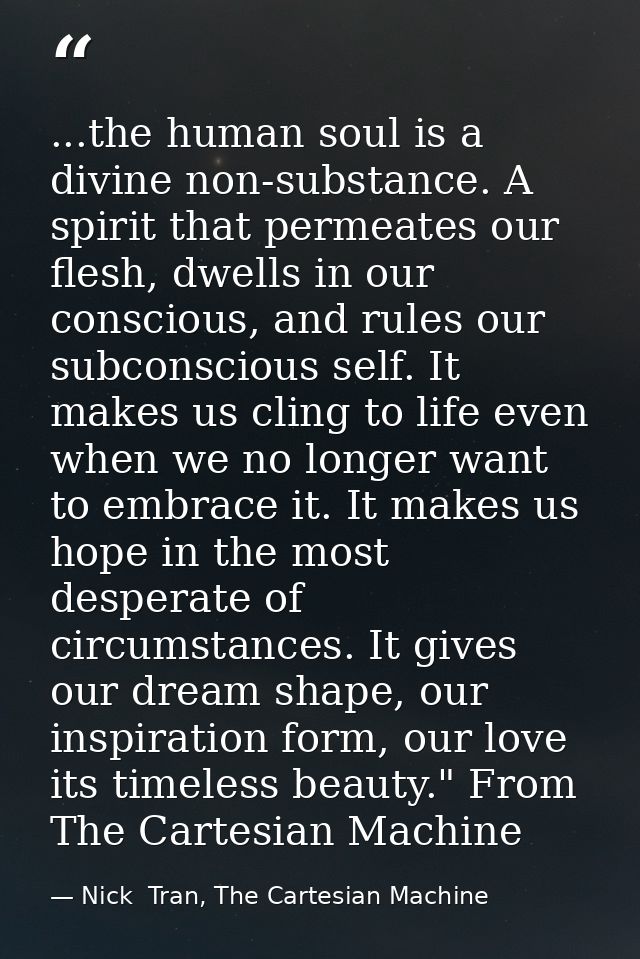 ...the human soul is a divine non-substance. A spirit that permeates our flesh, dwells in our conscious, and rules our s — Nick  Tran, The Cartesian Machine