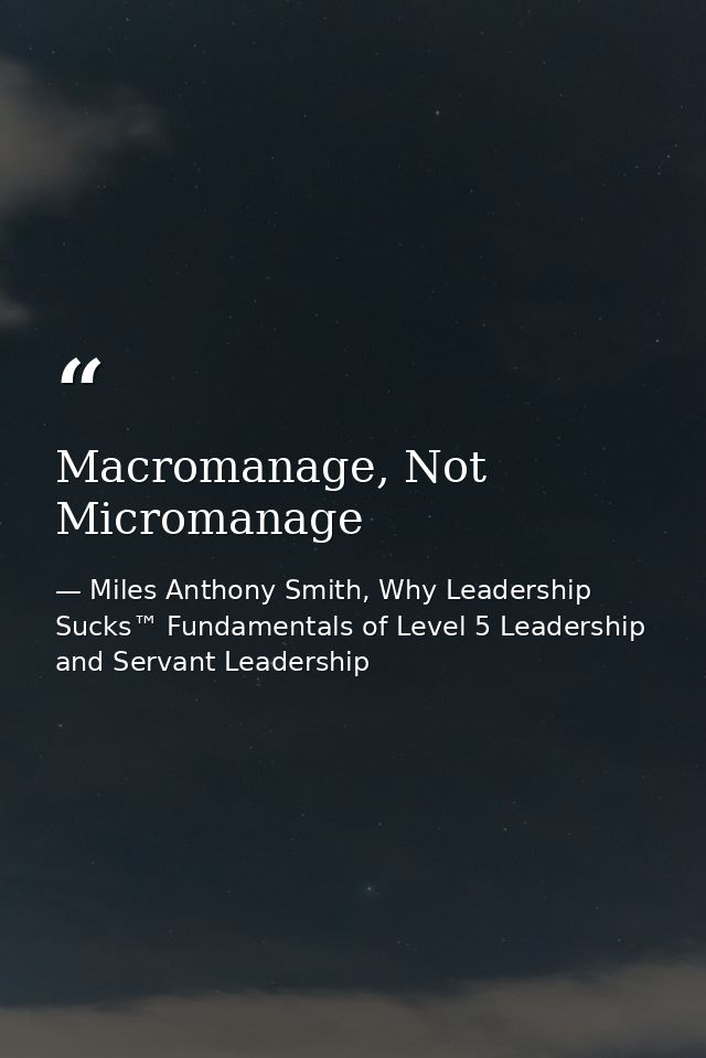 Macromanage, Not Micromanage — Miles Anthony Smith, Why Leadership Sucks™ Fundamentals of Level 5 Leadership and Servant Leadership