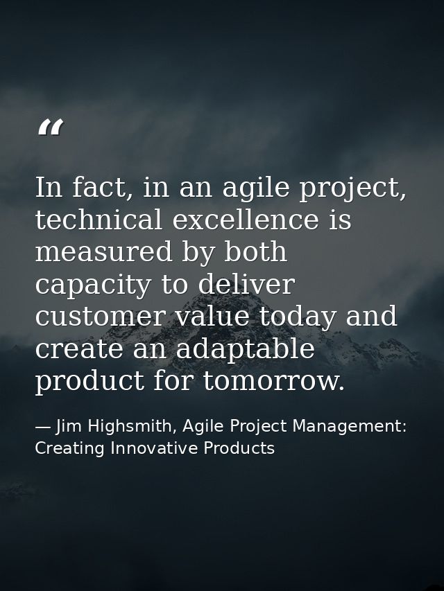 In fact, in an agile project, technical excellence is measured by both capacity to deliver customer value today and crea — Jim Highsmith, Agile Project Management: Creating Innovative Products