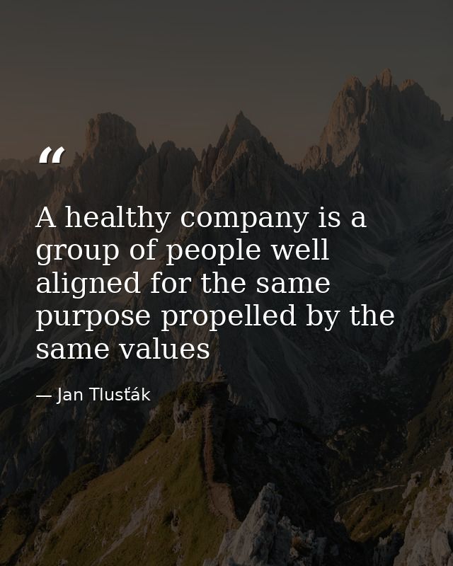 A healthy company is a group of people well aligned for the same purpose propelled by the same values — Jan Tlusťák