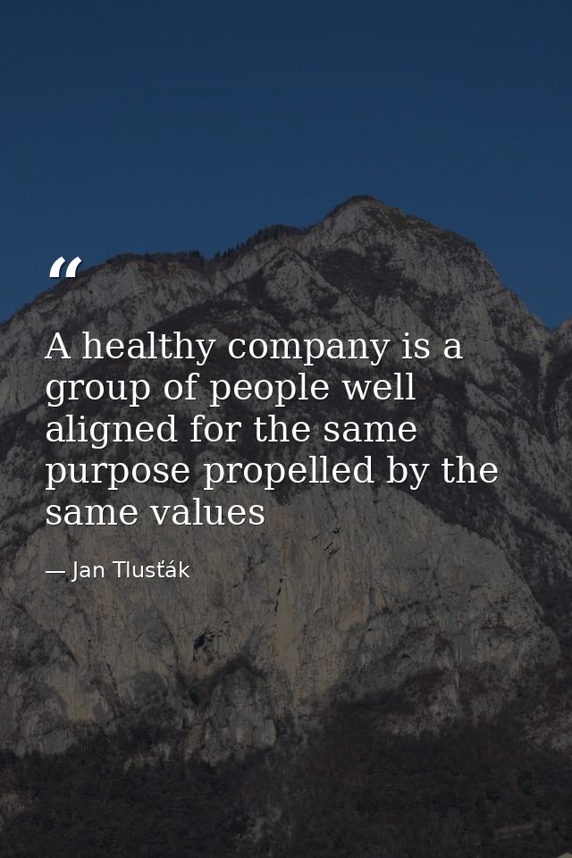 A healthy company is a group of people well aligned for the same purpose propelled by the same values — Jan Tlusťák