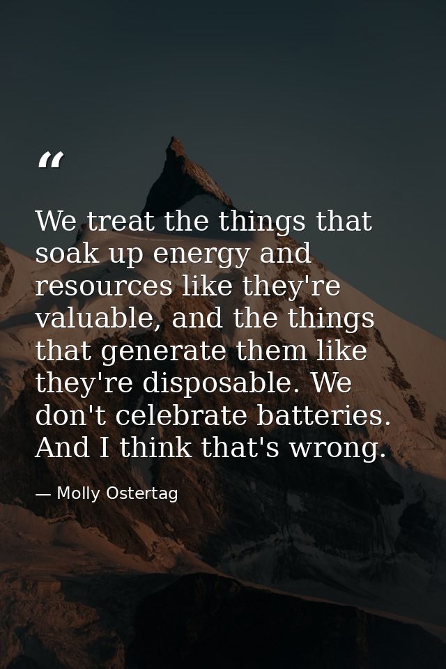 We treat the things that soak up energy and resources like they're valuable, and the things that generate them like they — Molly Ostertag