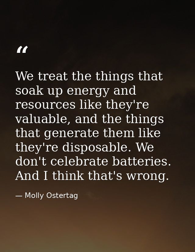 We treat the things that soak up energy and resources like they're valuable, and the things that generate them like they — Molly Ostertag