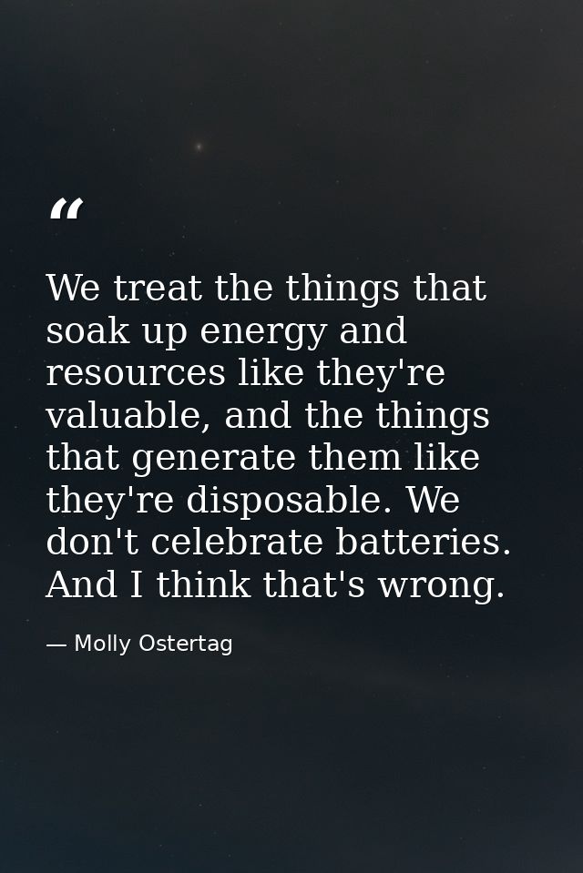 We treat the things that soak up energy and resources like they're valuable, and the things that generate them like they — Molly Ostertag