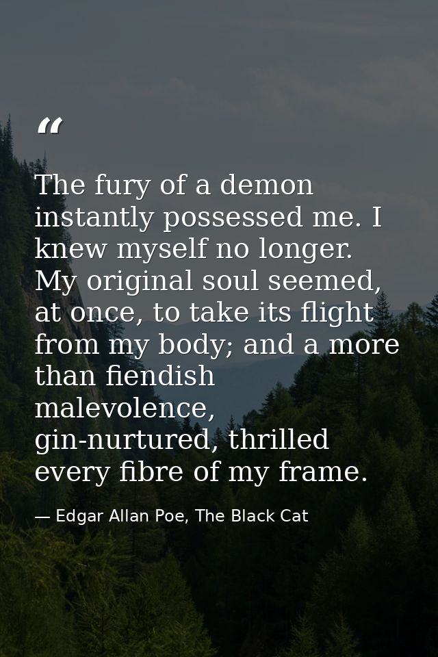 The fury of a demon instantly possessed me. I knew myself no longer. My original soul seemed, at once, to take its fligh — Edgar Allan Poe, The Black Cat