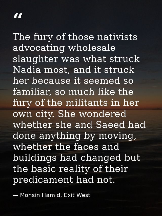The fury of those nativists advocating wholesale slaughter was what struck Nadia most, and it struck her because it seem — Mohsin Hamid, Exit West