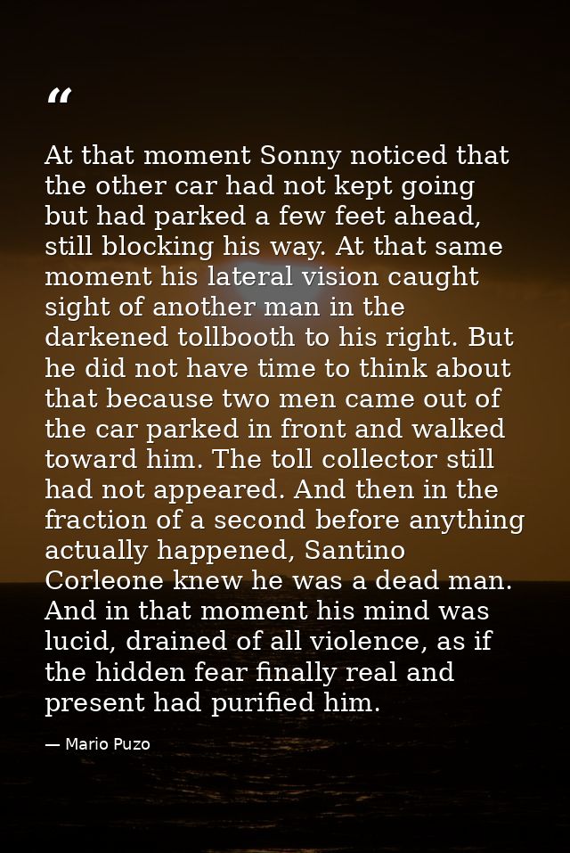 At that moment Sonny noticed that the other car had not kept going but had parked a few feet ahead, still blocking his w — Mario Puzo