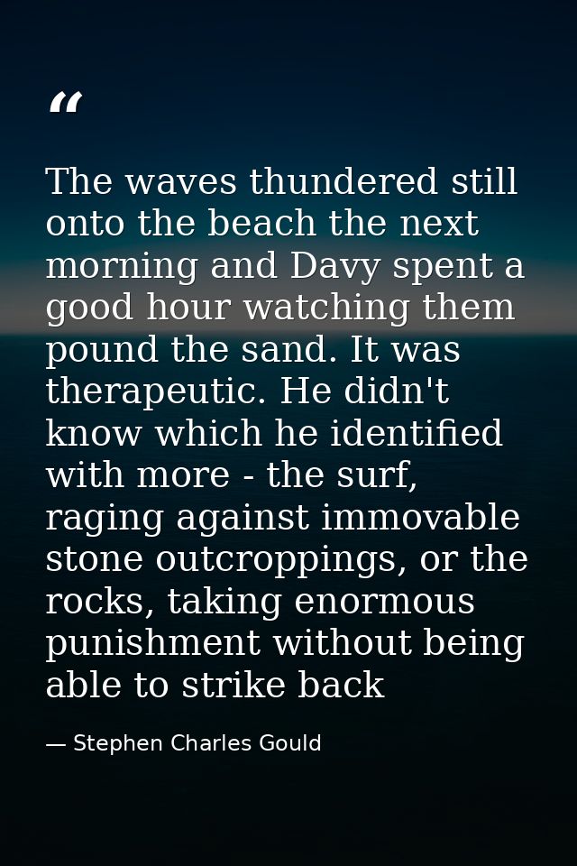 The waves thundered still onto the beach the next morning and Davy spent a good hour watching them pound the sand. It wa — Stephen Charles Gould