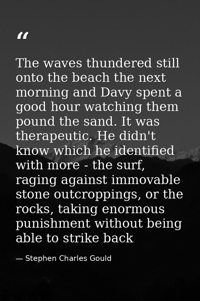 The waves thundered still onto the beach the next morning and Davy spent a good hour watching them pound the sand. It wa — Stephen Charles Gould
