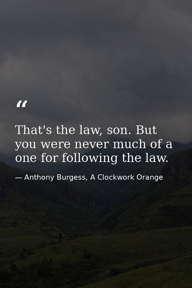 That's the law, son. But you were never much of a one for following the law. — Anthony Burgess, A Clockwork Orange