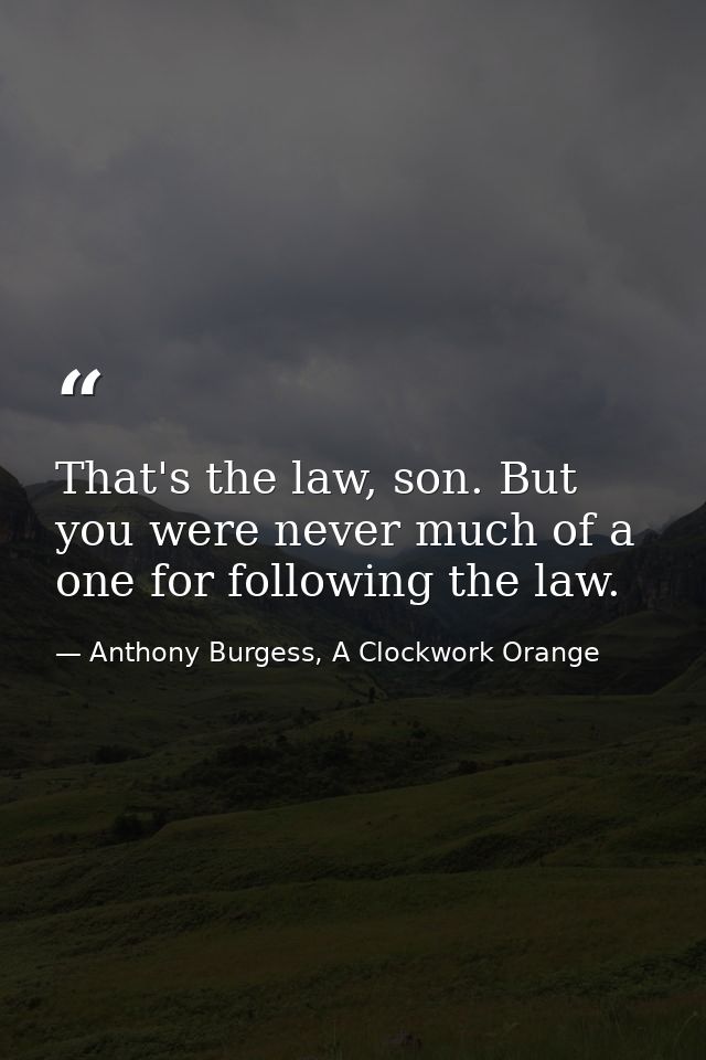 That's the law, son. But you were never much of a one for following the law. — Anthony Burgess, A Clockwork Orange