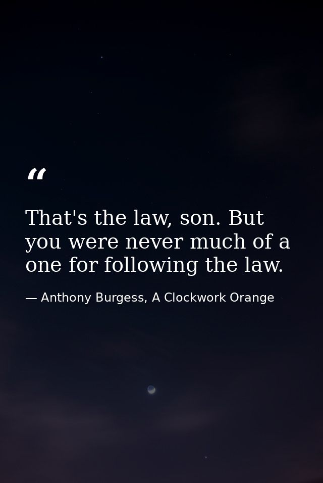 That's the law, son. But you were never much of a one for following the law. — Anthony Burgess, A Clockwork Orange
