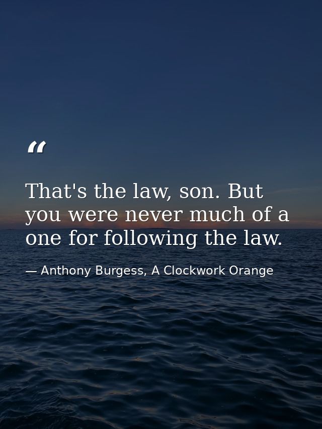 That's the law, son. But you were never much of a one for following the law. — Anthony Burgess, A Clockwork Orange