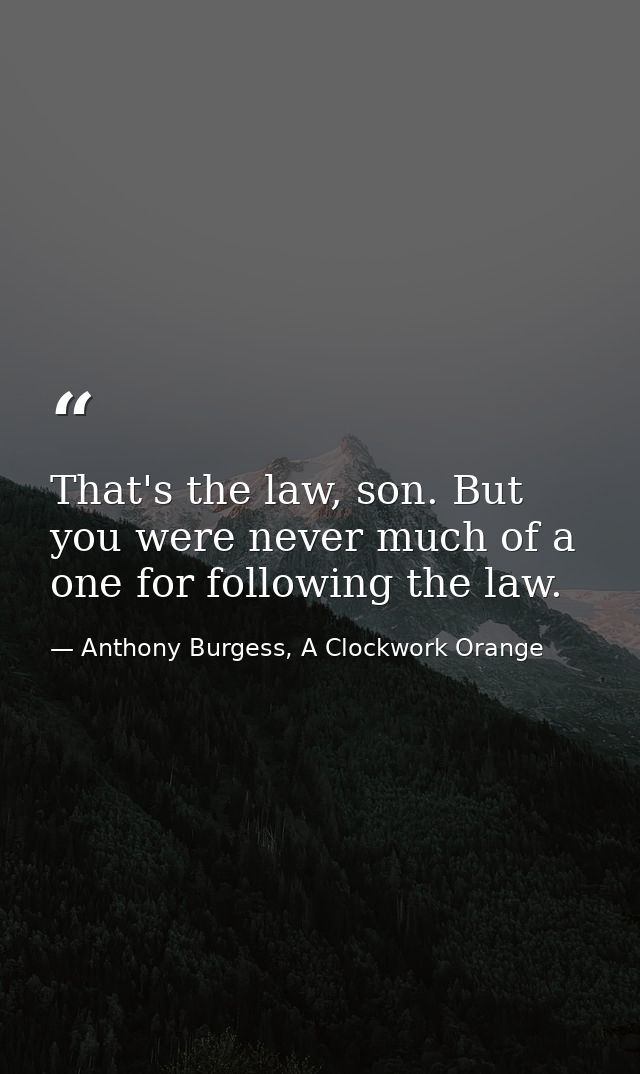 That's the law, son. But you were never much of a one for following the law. — Anthony Burgess, A Clockwork Orange
