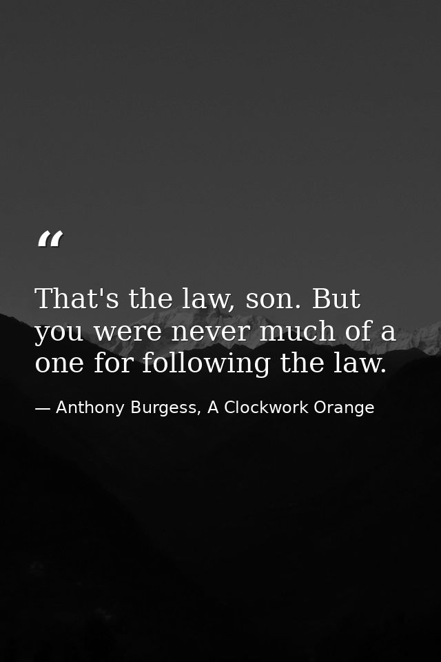 That's the law, son. But you were never much of a one for following the law. — Anthony Burgess, A Clockwork Orange