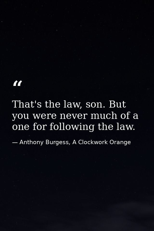 That's the law, son. But you were never much of a one for following the law. — Anthony Burgess, A Clockwork Orange
