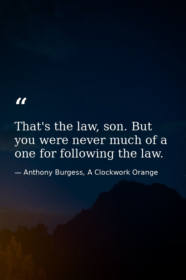 That's the law, son. But you were never much of a one for following the law. — Anthony Burgess, A Clockwork Orange
