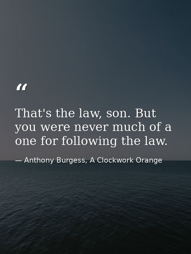 That's the law, son. But you were never much of a one for following the law. — Anthony Burgess, A Clockwork Orange
