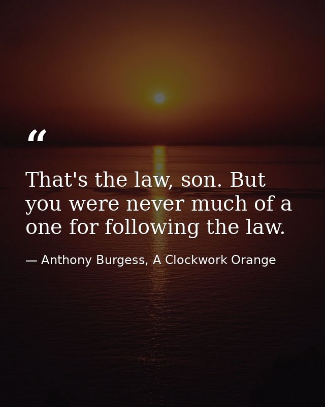 That's the law, son. But you were never much of a one for following the law. — Anthony Burgess, A Clockwork Orange