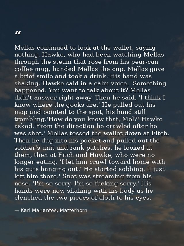Mellas continued to look at the wallet, saying nothing. Hawke, who had been watching Mellas through the steam that rose  — Karl Marlantes, Matterhorn