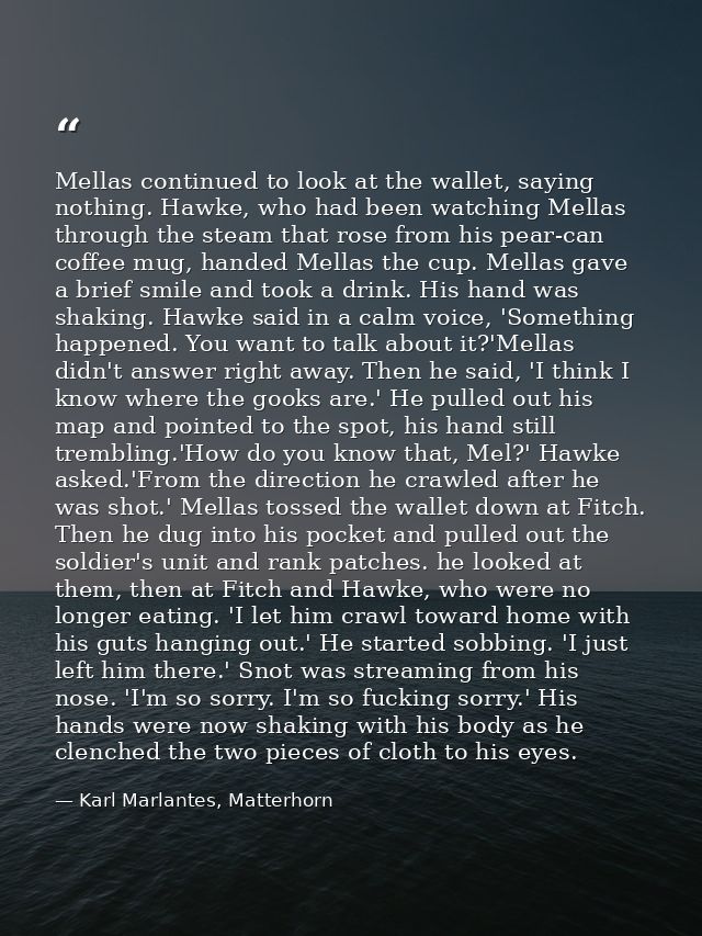 Mellas continued to look at the wallet, saying nothing. Hawke, who had been watching Mellas through the steam that rose  — Karl Marlantes, Matterhorn