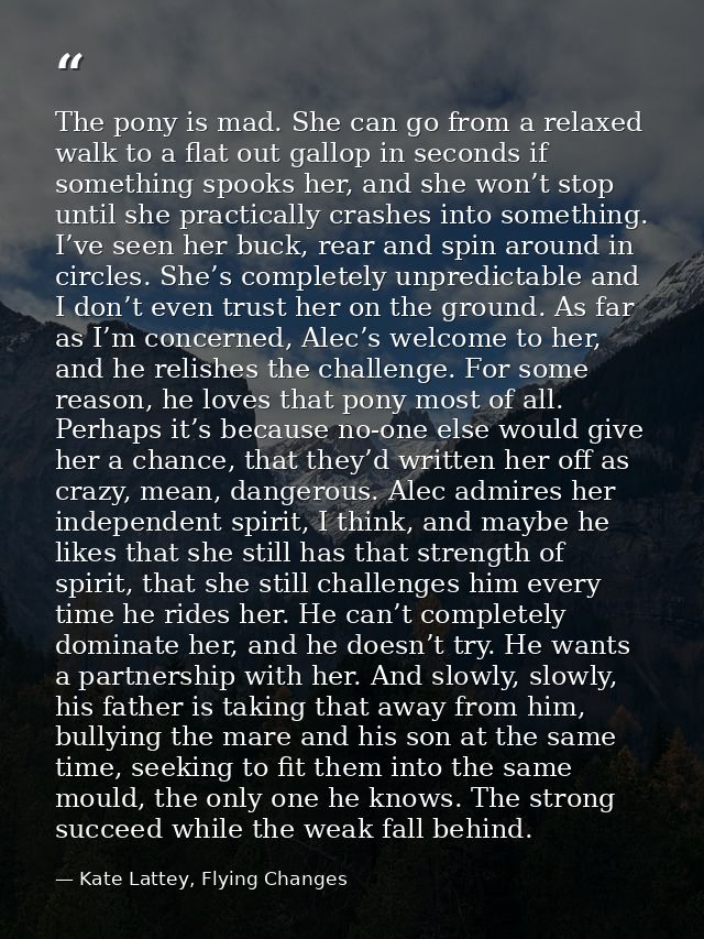 The pony is mad. She can go from a relaxed walk to a flat out gallop in seconds if something spooks her, and she won’t s — Kate Lattey, Flying Changes