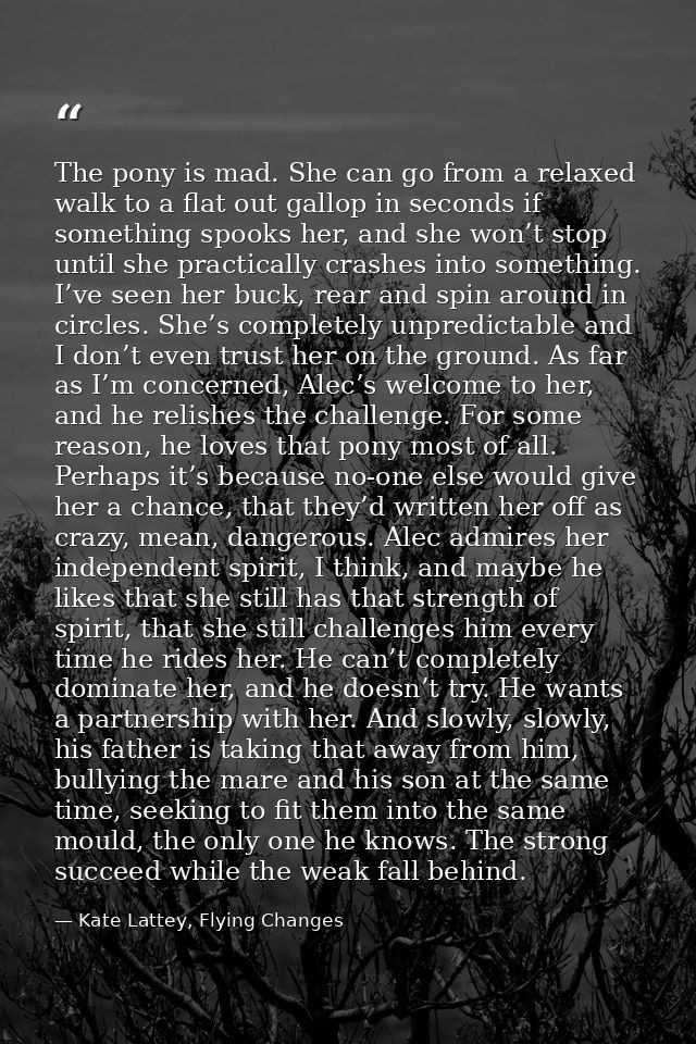 The pony is mad. She can go from a relaxed walk to a flat out gallop in seconds if something spooks her, and she won’t s — Kate Lattey, Flying Changes