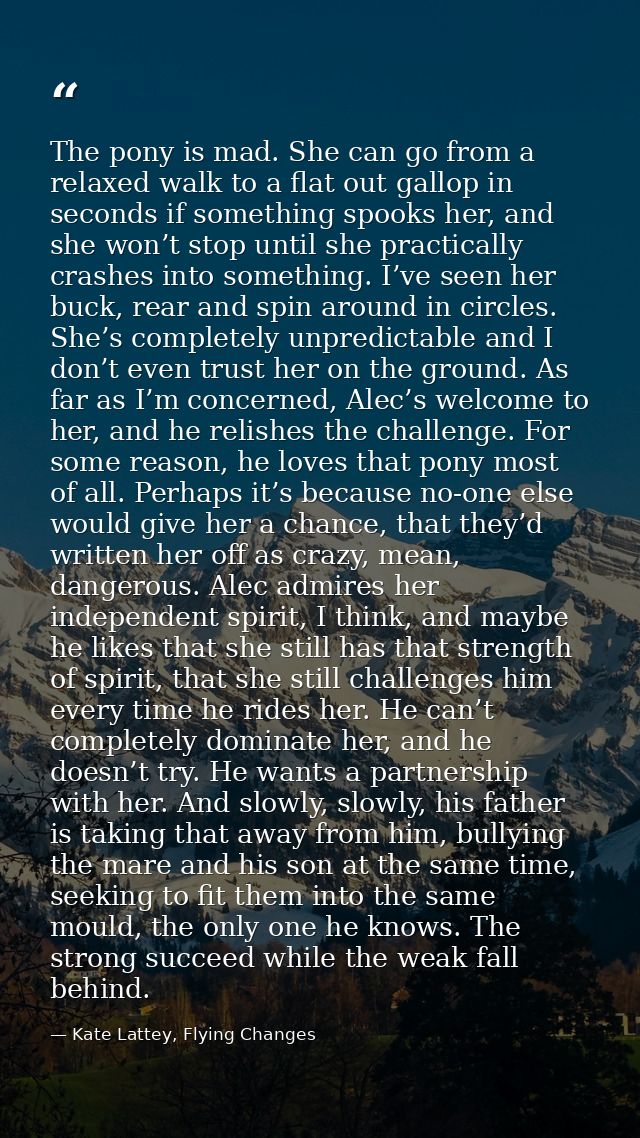 The pony is mad. She can go from a relaxed walk to a flat out gallop in seconds if something spooks her, and she won’t s — Kate Lattey, Flying Changes