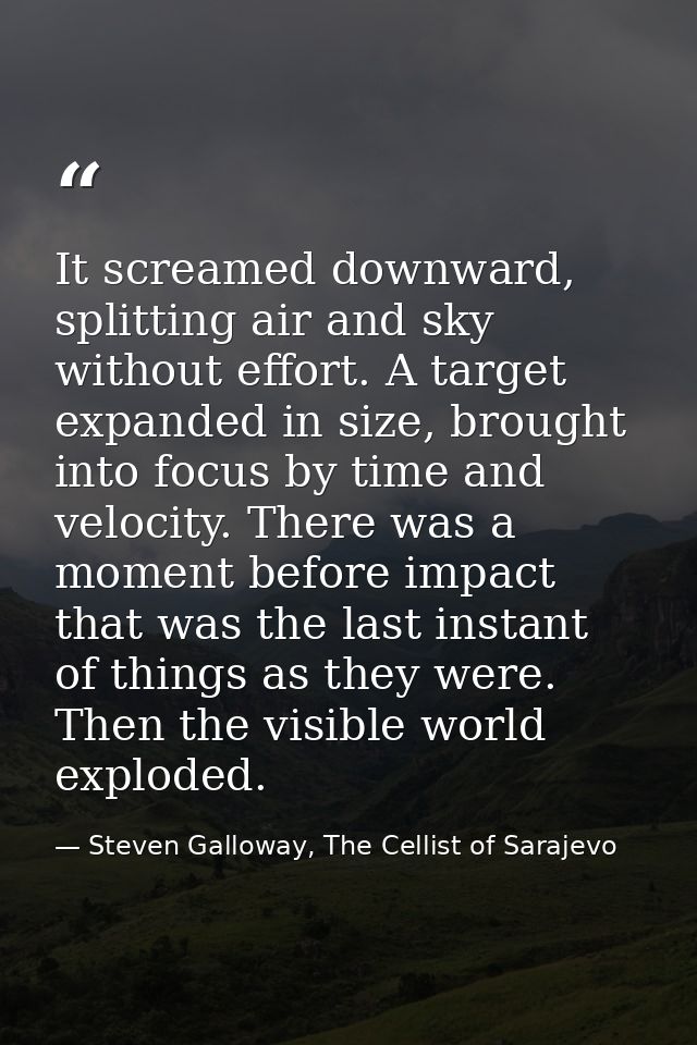 It screamed downward, splitting air and sky without effort. A target expanded in size, brought into focus by time and ve — Steven Galloway, The Cellist of Sarajevo