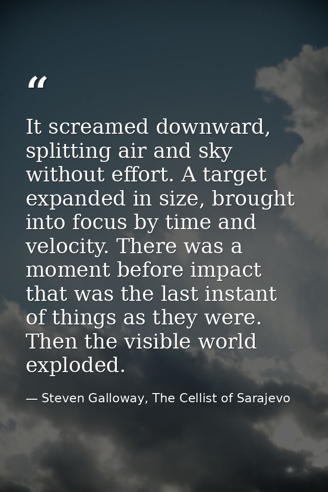 It screamed downward, splitting air and sky without effort. A target expanded in size, brought into focus by time and ve — Steven Galloway, The Cellist of Sarajevo